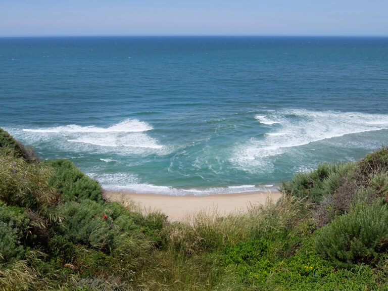 All About Rip Currents